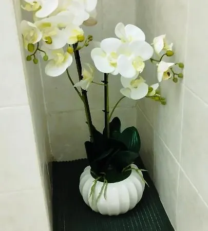 Epiro Apartament