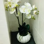 Epiro Apartment